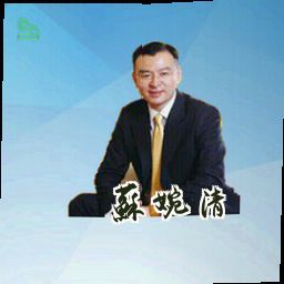 苏婉清